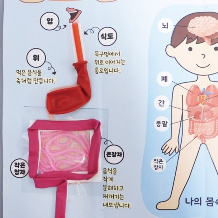크루즈여행 구매후기 및 장점 단점 안내