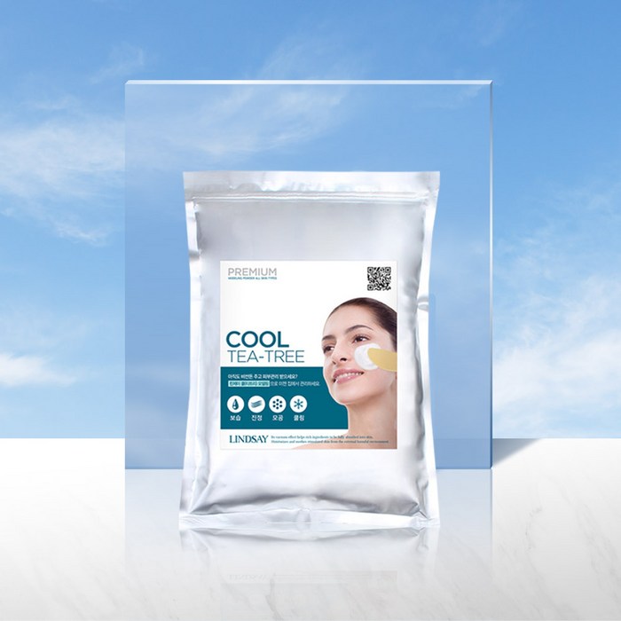 모델링팩 구매후기 및 장점 단점 안내