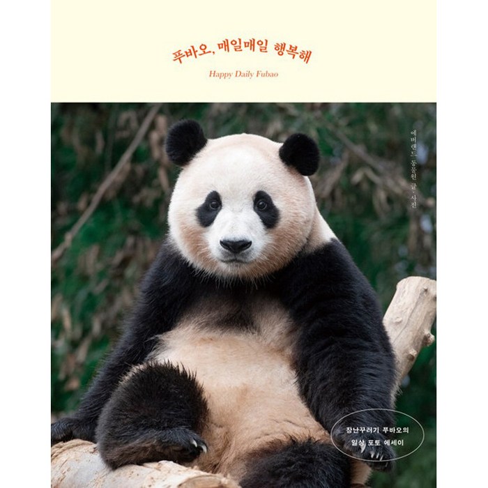 에버랜드자유이용권 구매후기 및 장점 단점 안내