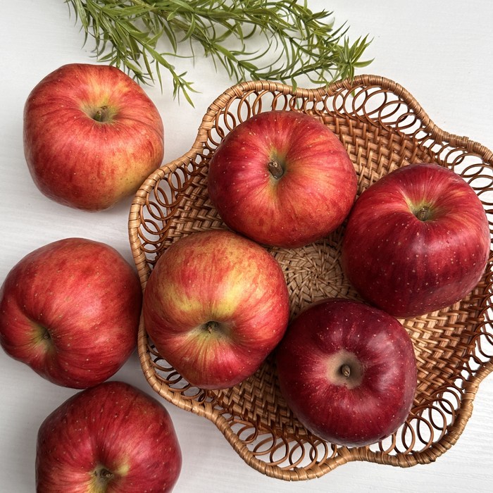 사과 구매후기 및 장점 단점 안내