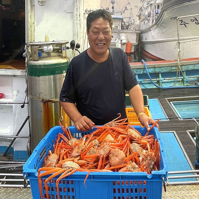 킹크랩 구매후기 및 장점 단점 안내