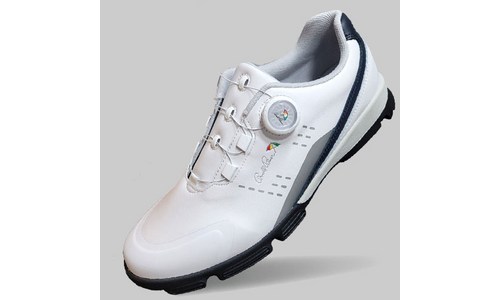 골프화 구매후기 및 장점 단점 안내