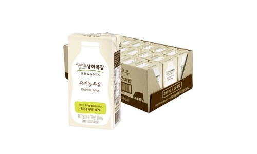 이벤트룩 구매후기 및 장점 단점 안내