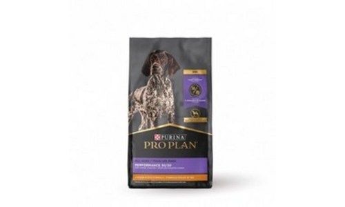 건식사료 구매후기 및 장점 단점 안내