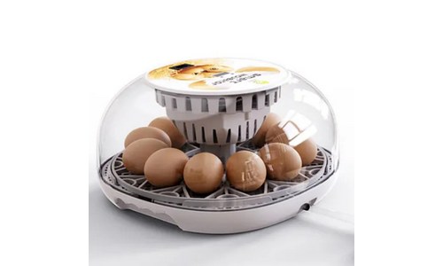 가정용  부화기 구매후기 및 장점 단점 안내