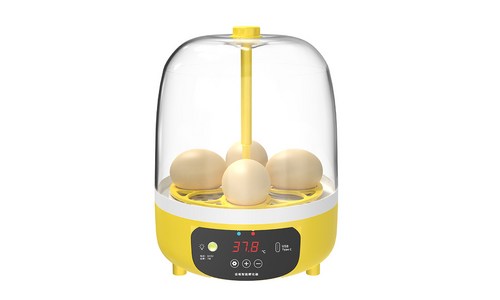 가정용 부화기 구매후기 및 장점 단점 안내