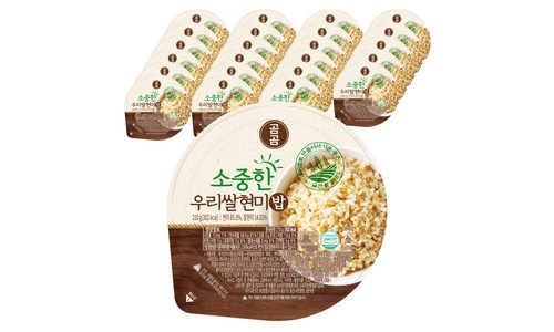 곰곰