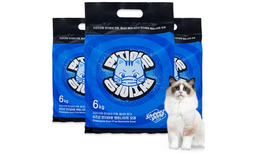 고양이모래 구매후기 및 장점 단점 안내