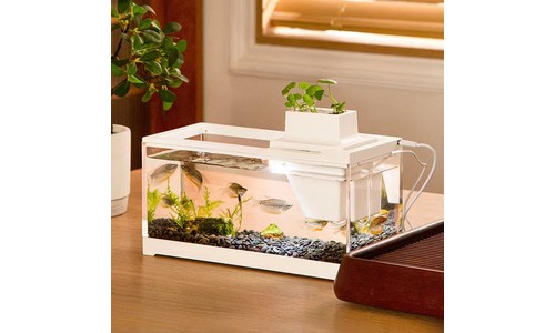 어항 구매후기 및 장점 단점 안내